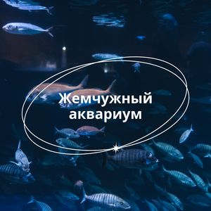 Аквариумный блеск