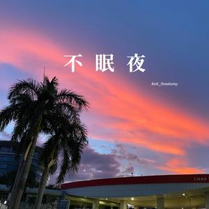 9Tribez-不眠夜（And Seasheep remix）