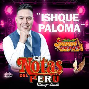 ISHQUE PALOMA