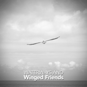 The Talk of the Trees