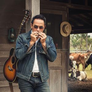 กองฟืน และ เปลวไฟ