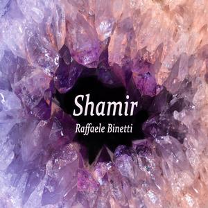Shamir