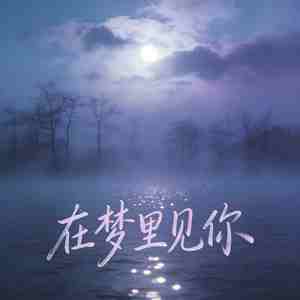 在梦里你见