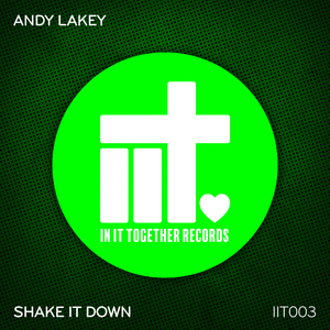 Shake It Down (Original Mix)