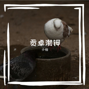 雨铁丝网
