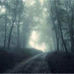 梦中的迷雾森林