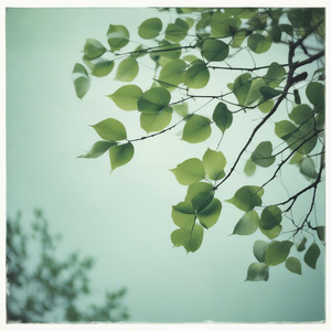 烟火下的许愿 (Demo)