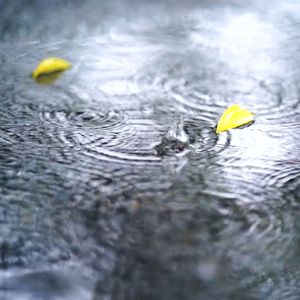 天气