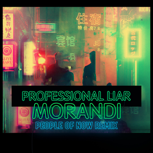 Professional Liar (People of Now Remix)