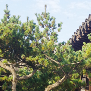 在这个世界相遇