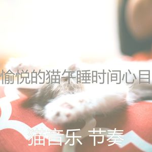 一尘不染小猫印象数