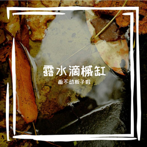 露水滴槭缸