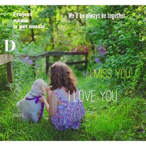 캐논 (백색소음 빗소리)