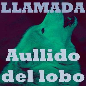 Aullido del lobo