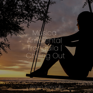 Reflexiones Tranquilas