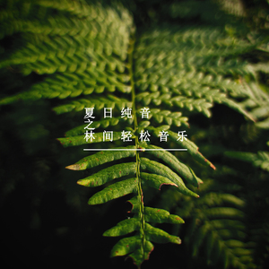 静心的旋律 (轻音乐)