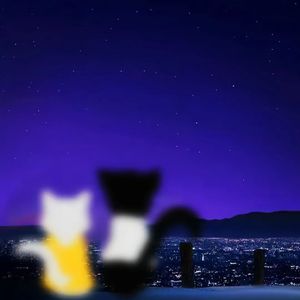 不说（抖音热搜版）