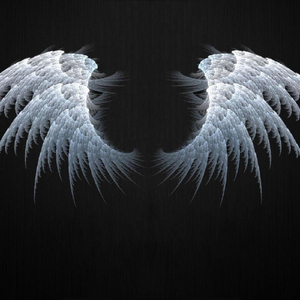 LLL (feat. Lokid) (Live)