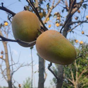 难道我们真的不可以在重来