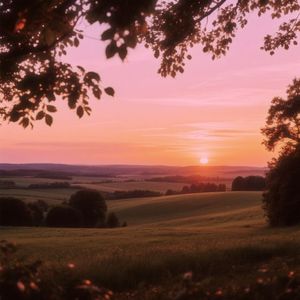 未寄笺上的茶痕