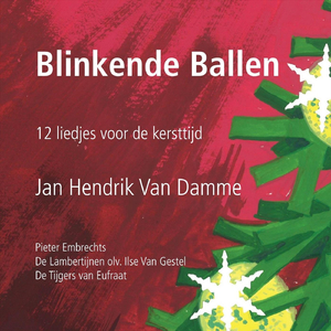 De Kerstkadootjes Elf