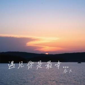 遇见你是最幸福的事 (Cover 王佳音)