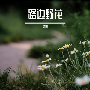 路边野花