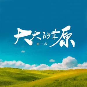 大大的草原(DJ版)