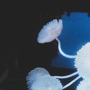 Maybe I still have organs