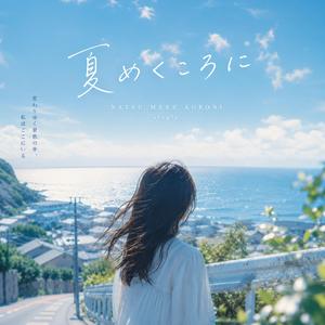 晴れの夏日