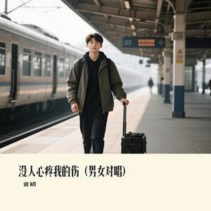 没人心疼我的伤 (男女对唱)