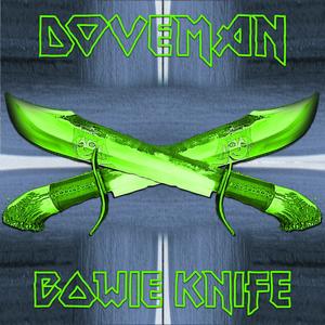 Bowie Knife (Acoustic version )