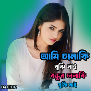 আমি চালাকি বুঝি নাই বন্ধুর চালাকি বুঝি নাই