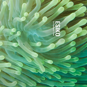 Anemones (Original Mix)