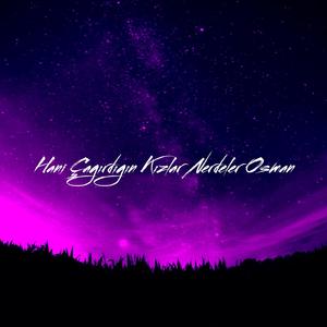 Hani Çağırdığın Kızlar Nerdeler Osman (Remix)