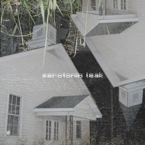 everything wrong with me