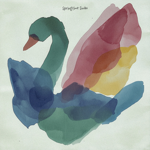 Springtime Swan