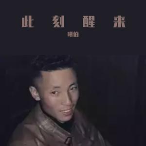 在下只是一个浪子