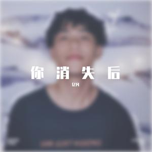 你消失后
