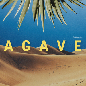 Agave