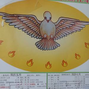 守望你是我的歌