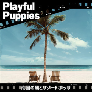 Afternoon Hammock Lounging