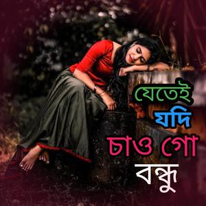 যেতেই যদি চাও গো বন্ধু
