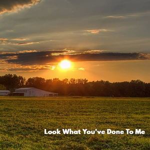 Look What You've Done To Me