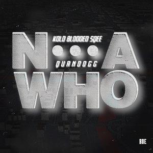 Nigga Who (feat. QuanDogg)