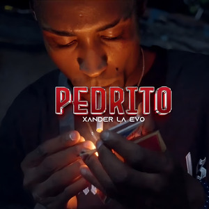 Pedrito
