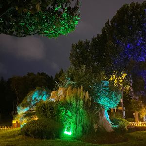 Lose heart低落ft.東海人