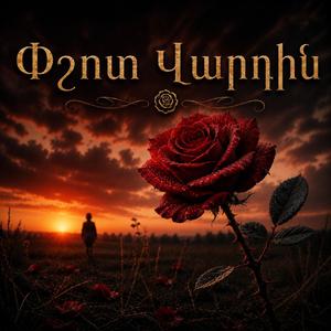 Փշոտ Վարդին