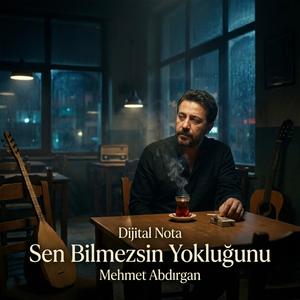 Sen Bilmezsin Yokluğunu (feat. Mehmet Abdırgan)