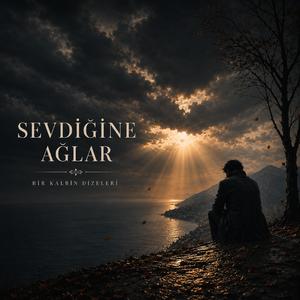 Sevdiğine Ağlar